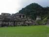 maya100_small.jpg