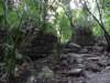 maya106_small.jpg