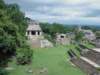 maya116_small.jpg