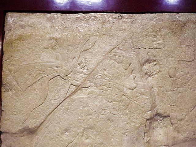 maya151.jpg